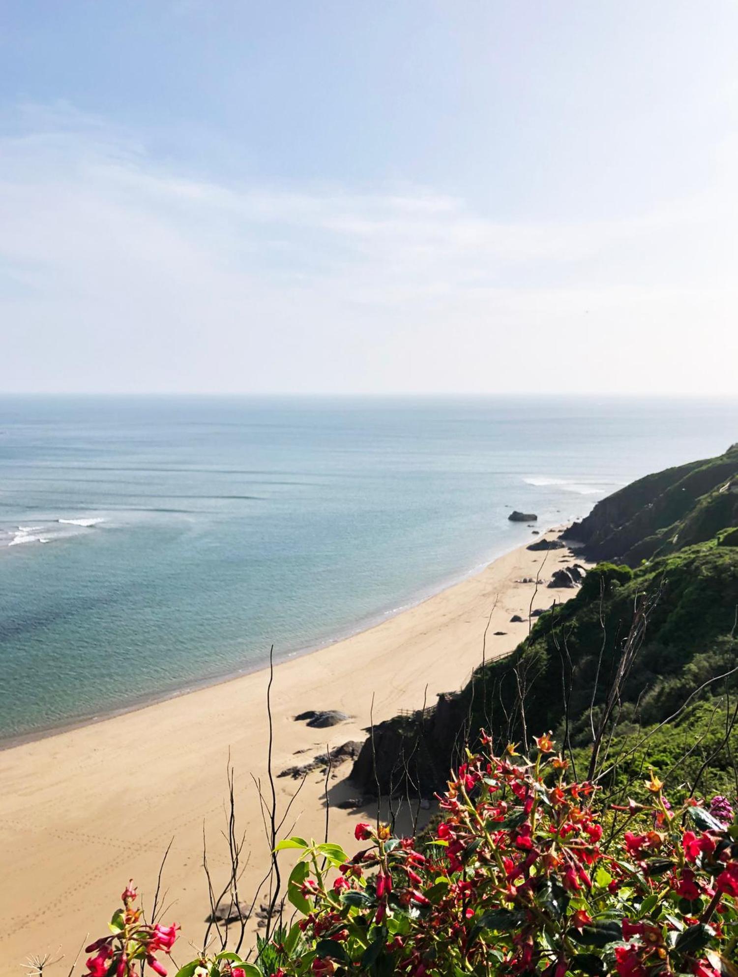 Cosy Beachside Cottage Bigbury 외부 사진